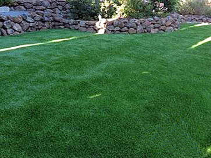 Fake Grass Plymouth, Indiana Gardeners, Backyard Designs