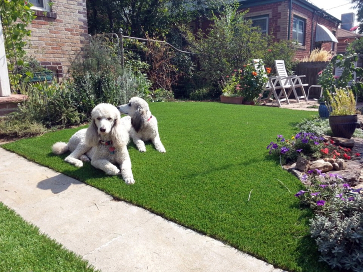 Fake Grass Rosedale, Indiana Dog Parks, Front Yard Landscape Ideas