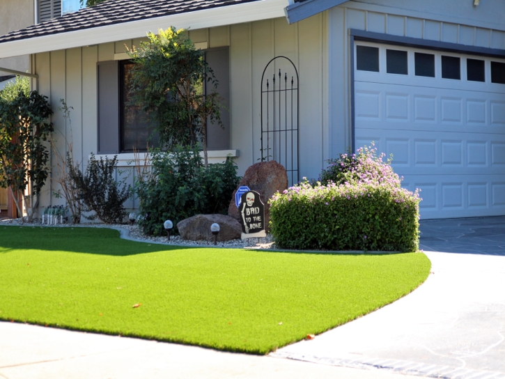 Fake Turf Elwood, Indiana Landscape Rock, Front Yard