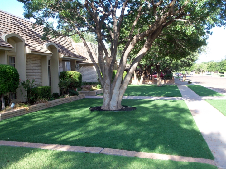 Fake Turf Farmersburg, Indiana Rooftop, Small Front Yard Landscaping