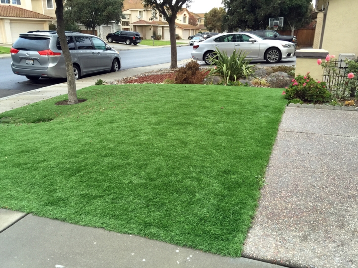 Fake Turf Oak Park, Indiana Paver Patio, Front Yard Design