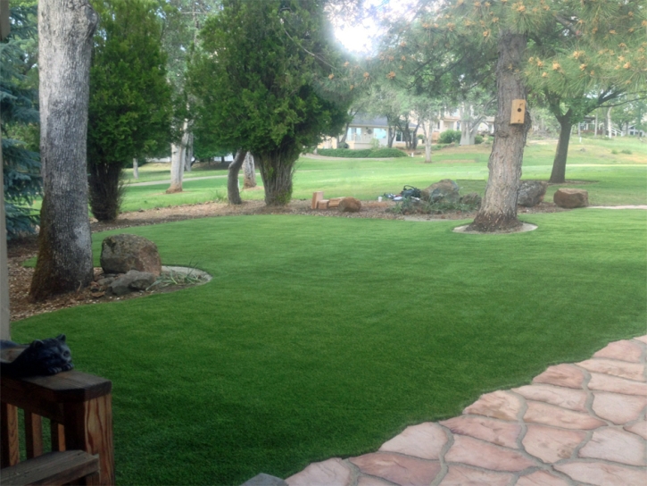 Faux Grass Dana, Indiana Landscaping Business, Landscaping Ideas For Front Yard