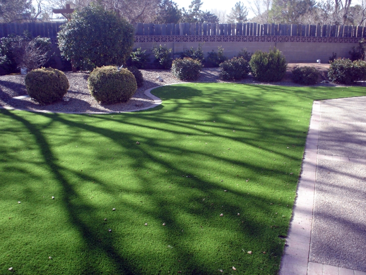 Faux Grass Oxford, Indiana Backyard Playground, Front Yard Ideas