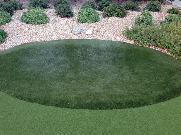 Faux Grass Upland, Indiana Backyard Putting Green