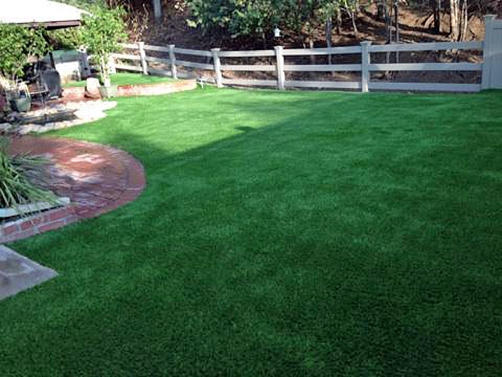 Grass Carpet Goodland, Indiana Grass For Dogs, Backyard Designs