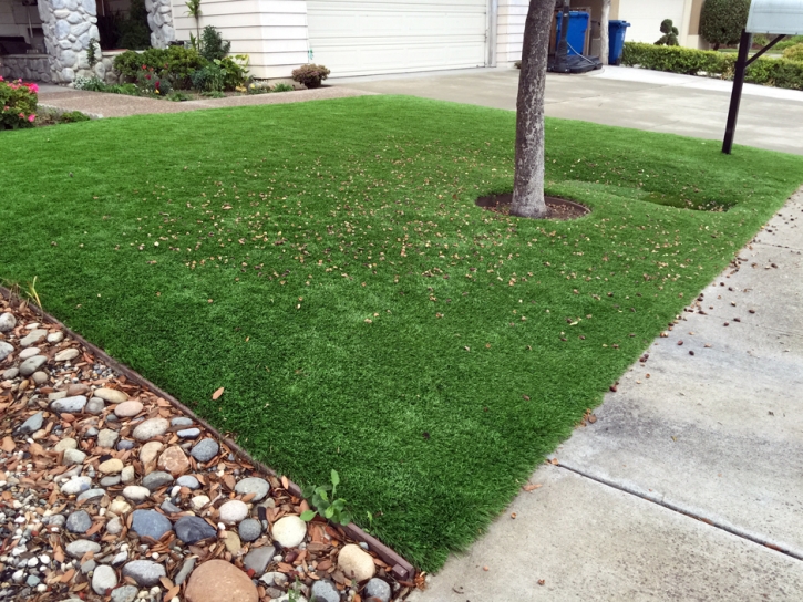 Grass Carpet Knox, Indiana Lawn And Landscape, Front Yard