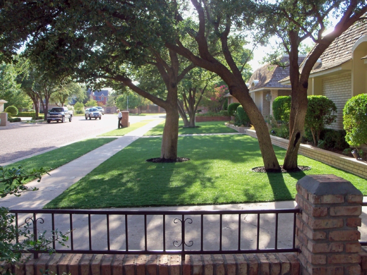 Grass Carpet Rochester, Indiana Landscaping, Small Front Yard Landscaping