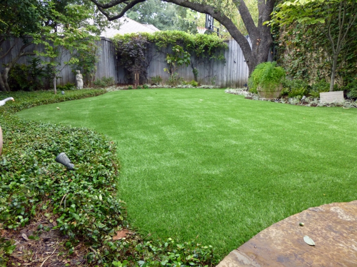 Grass Carpet Union City, Indiana Paver Patio, Backyard Ideas