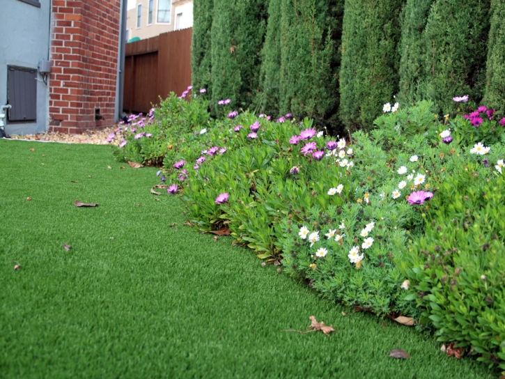 Grass Carpet Walkerton, Indiana Landscape Rock, Landscaping Ideas For Front Yard