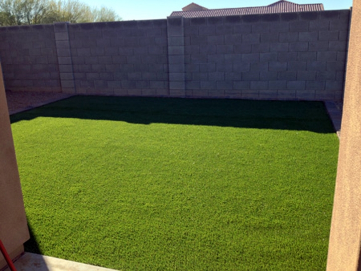 Grass Carpet Wheatfield, Indiana Backyard Deck Ideas, Backyards