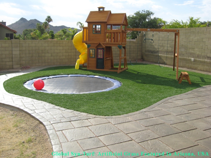 Grass Turf Brownsburg, Indiana Landscape Design, Backyard Ideas