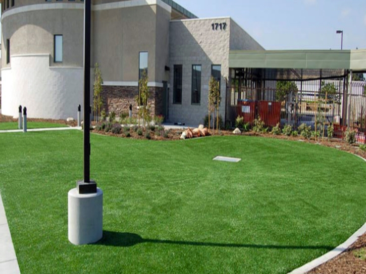 Grass Turf Cicero, Indiana Paver Patio, Commercial Landscape