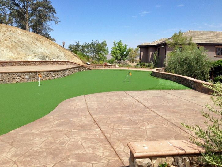 Grass Turf Muncie, Indiana Artificial Putting Greens, Backyard Designs