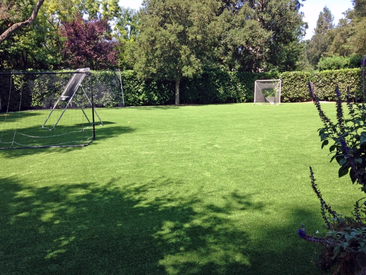 Installing Artificial Grass Crothersville, Indiana Rooftop, Backyard Landscaping Ideas