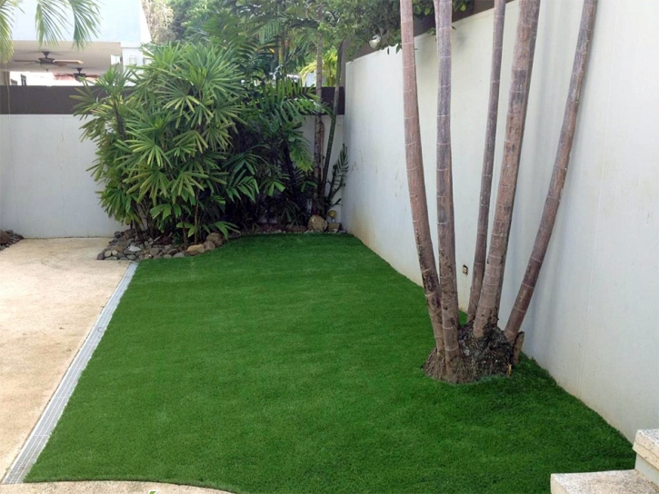 Installing Artificial Grass Middletown, Indiana Design Ideas, Backyard Makeover