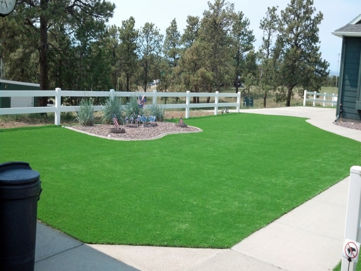 Installing Artificial Grass Taylorsville, Indiana Roof Top, Front Yard Ideas