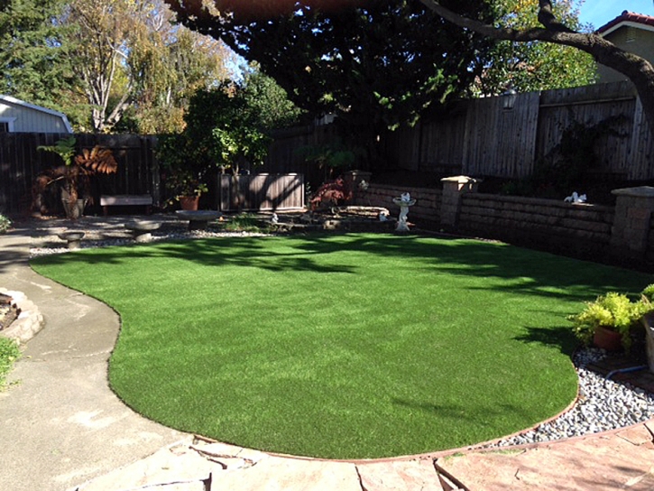 Outdoor Carpet Carthage, Indiana Backyard Playground, Backyards