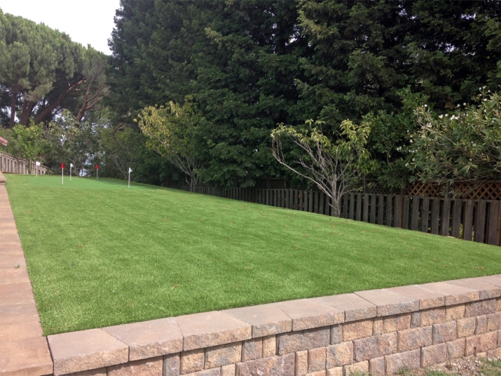 Plastic Grass Burlington, Indiana Backyard Putting Green, Backyard Landscape Ideas