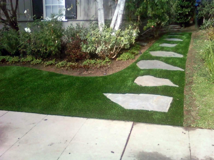 Plastic Grass Crothersville, Indiana Garden Ideas, Landscaping Ideas For Front Yard