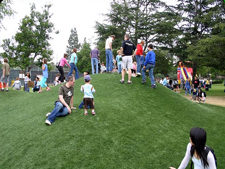 Plastic Grass Danville, Indiana Home And Garden, Parks