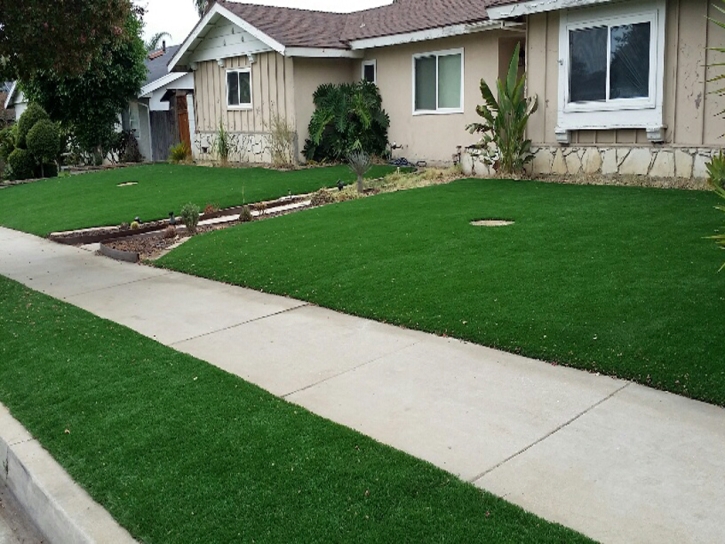 Plastic Grass Edinburgh, Indiana Landscaping, Landscaping Ideas For Front Yard