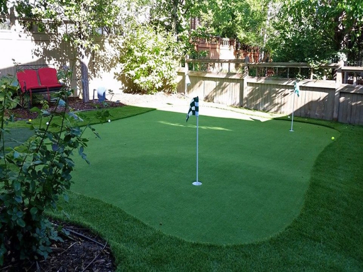 Plastic Grass Pittsboro, Indiana Putting Greens, Backyard Landscaping