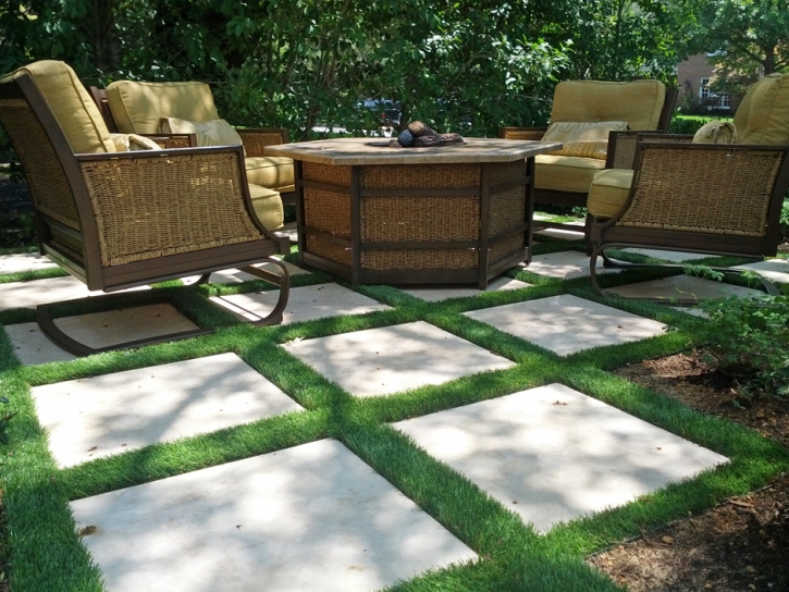 Synthetic Grass Cost Dugger, Indiana Home And Garden, Backyard Design