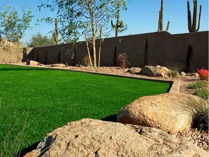 Synthetic Grass Cost Ellettsville, Indiana City Landscape, Backyard Design