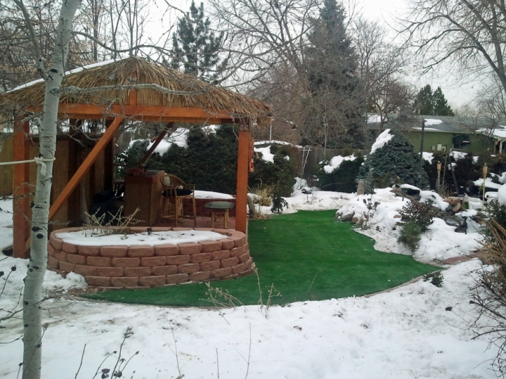 Synthetic Grass Cost Francesville, Indiana Gardeners, Backyard Designs