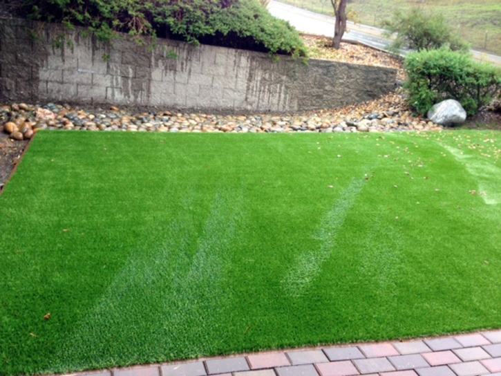 Synthetic Grass Cost Lawrenceburg, Indiana Rooftop, Front Yard Ideas