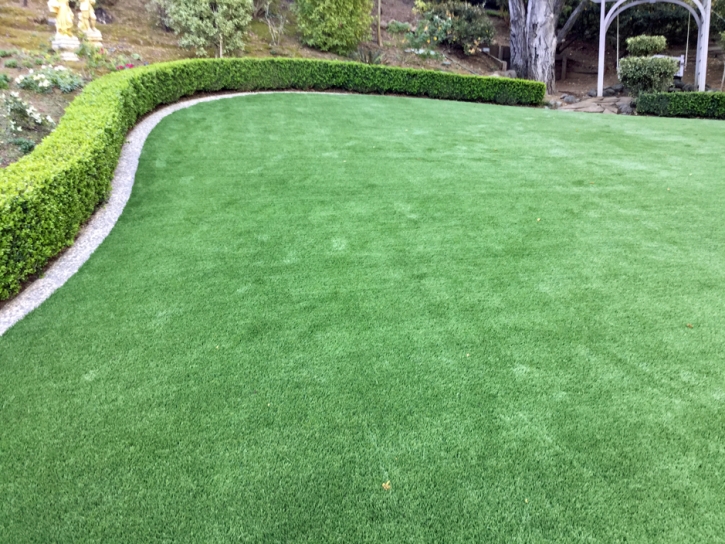 Synthetic Grass Darlington, Indiana Landscape Ideas, Backyard Designs