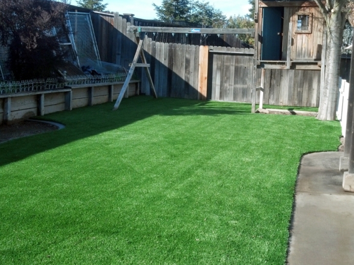 Synthetic Grass Pendleton, Indiana Garden Ideas, Backyard