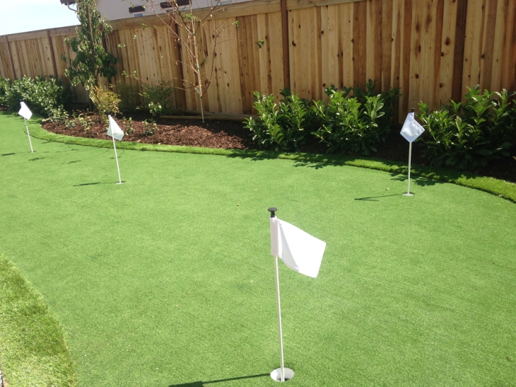 Synthetic Grass Whiteland, Indiana Golf Green, Backyard Makeover