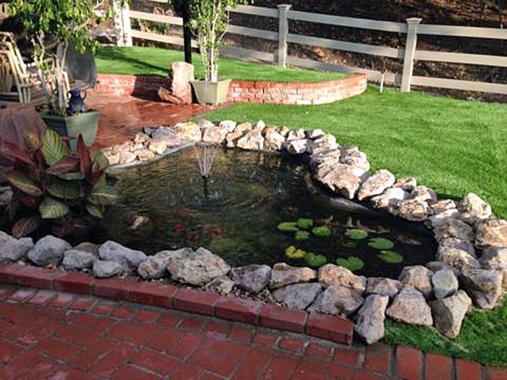 Synthetic Lawn Borden, Indiana Landscaping Business, Natural Swimming Pools