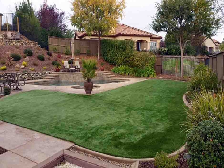 Synthetic Lawn Harlan, Indiana Design Ideas, Backyards