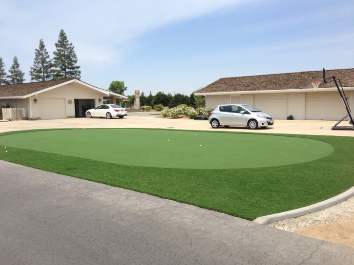 Synthetic Lawn Van Buren, Indiana Artificial Putting Greens, Front Yard Landscaping