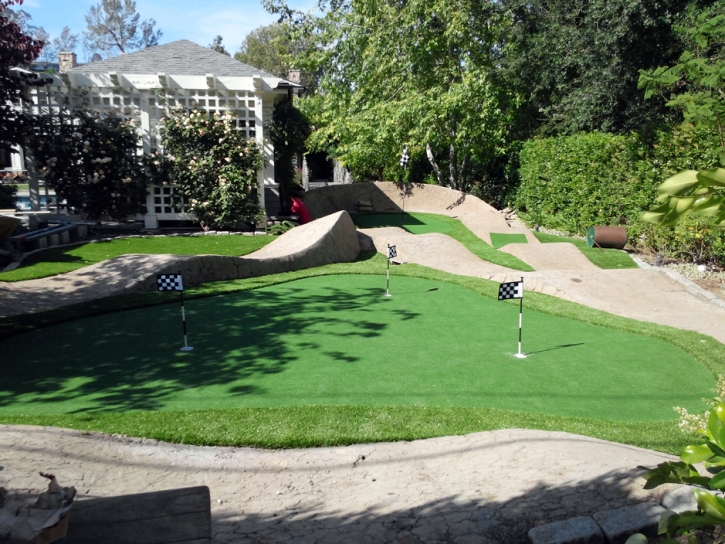 Synthetic Turf Anderson, Indiana Indoor Putting Green, Backyard Ideas