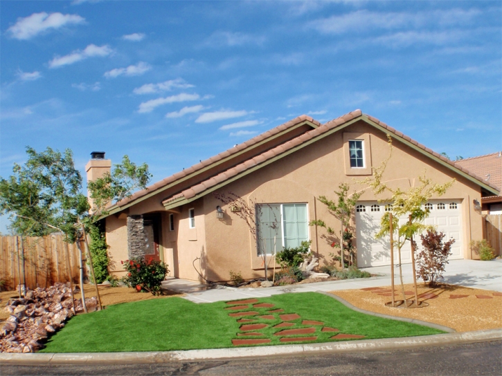 Synthetic Turf Danville, Indiana Roof Top, Front Yard Landscaping