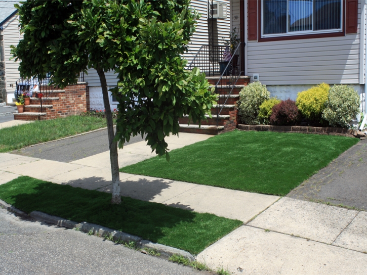 Synthetic Turf Decatur, Indiana City Landscape, Front Yard