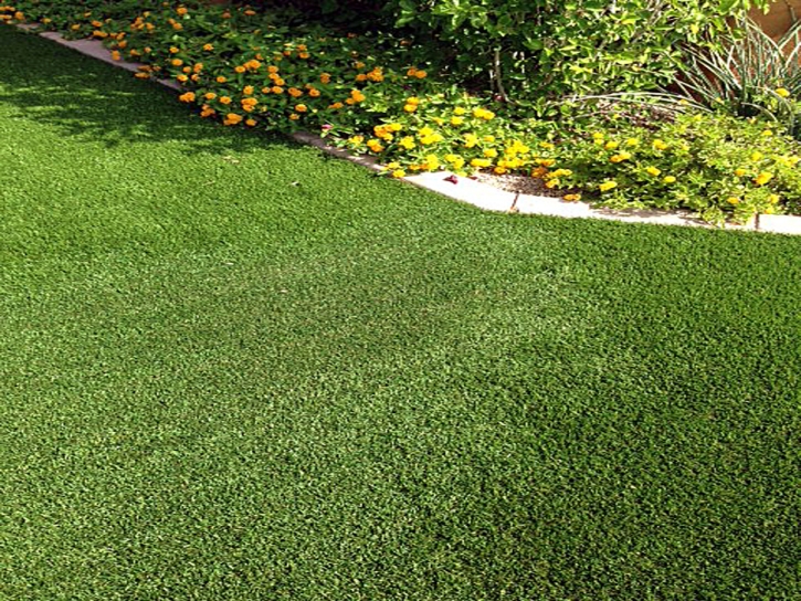 Synthetic Turf Jasonville, Indiana Backyard Deck Ideas, Front Yard Landscaping Ideas