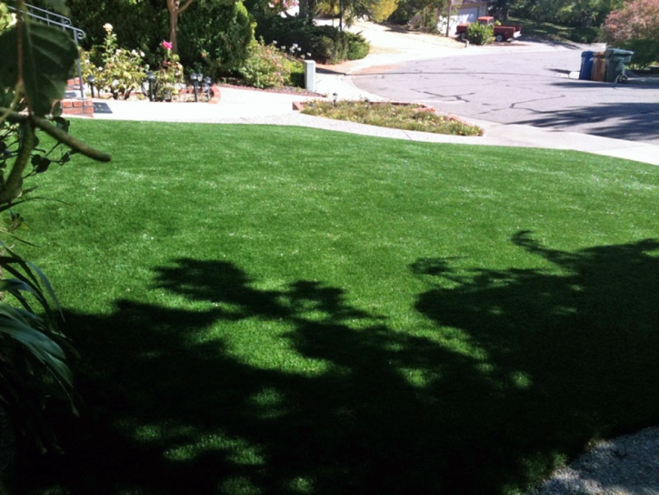 Synthetic Turf Middlebury, Indiana Roof Top, Front Yard Landscape Ideas