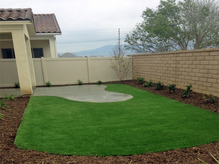 Synthetic Turf Roachdale, Indiana Backyard Playground, Backyards