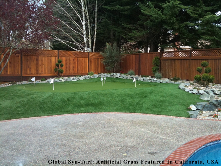 Synthetic Turf Supplier Avon, Indiana Garden Ideas, Beautiful Backyards