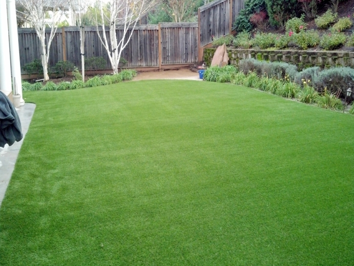 Synthetic Turf Supplier Memphis, Indiana Design Ideas, Backyard Landscaping Ideas