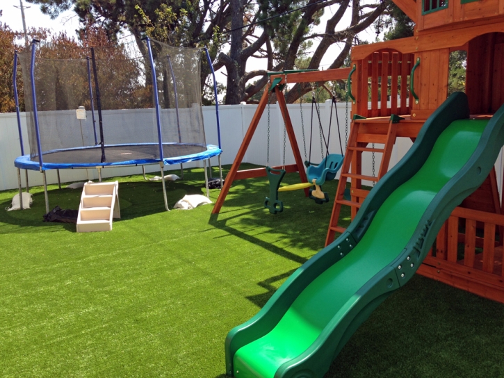 Synthetic Turf Supplier Mooresville, Indiana Design Ideas, Backyard Designs