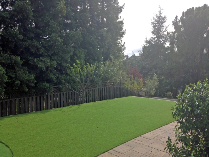 Synthetic Turf Supplier New Market, Indiana Lawn And Garden, Backyard Makeover