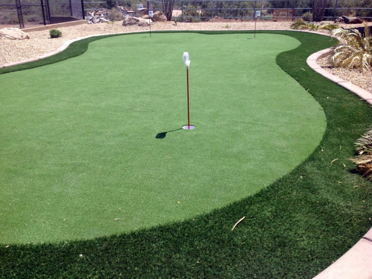 Synthetic Turf Supplier Tipton, Indiana Home Putting Green, Backyard Designs