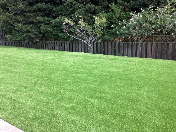 Turf Grass Hagerstown, Indiana Garden Ideas, Backyard Ideas