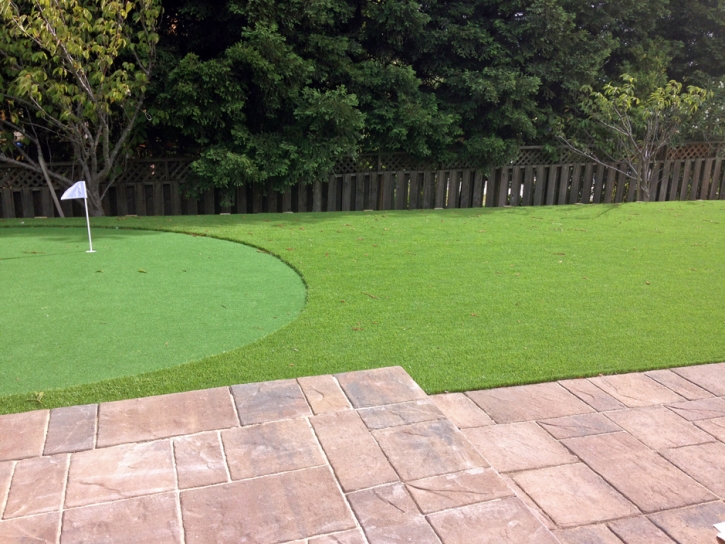 Turf Grass Hymera, Indiana Landscaping, Backyard Landscaping