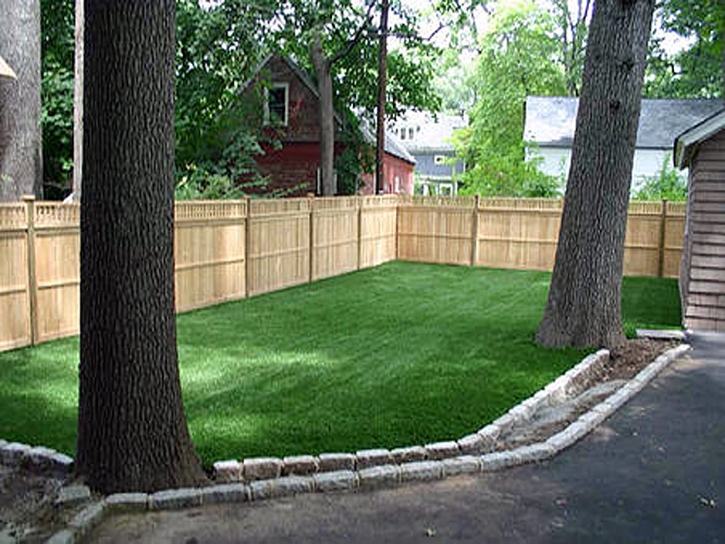 Turf Grass Leo-Cedarville, Indiana Design Ideas, Backyard Landscaping